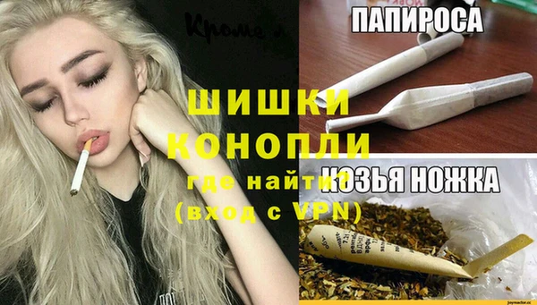 ПСИЛОЦИБИНОВЫЕ ГРИБЫ Алзамай