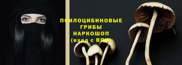 ПСИЛОЦИБИНОВЫЕ ГРИБЫ Алзамай