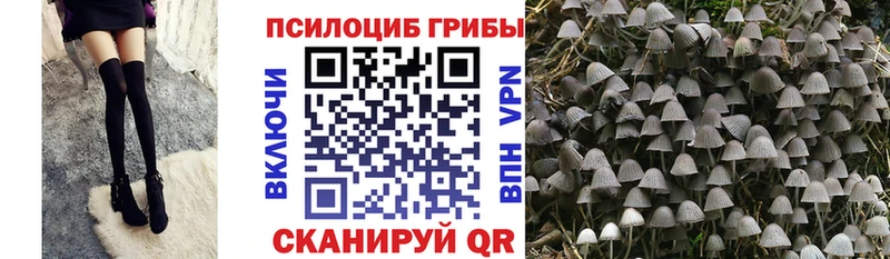 Псилоцибиновые грибы мицелий  Сенгилей 